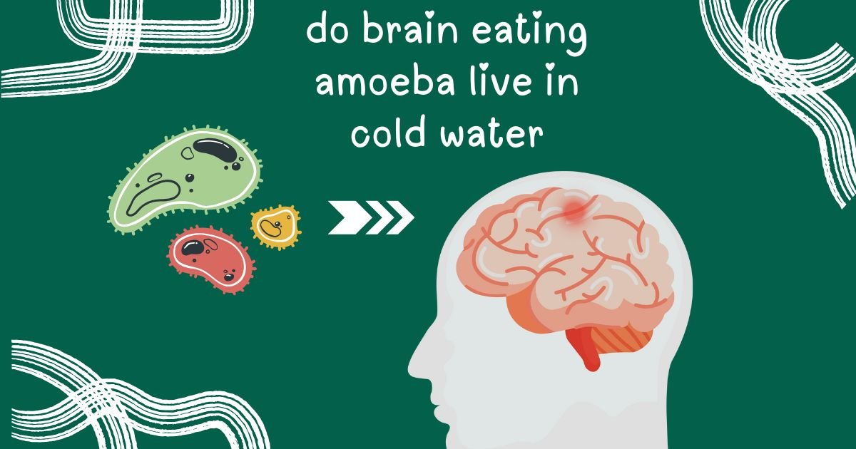 do brain eating amoeba live in cold water